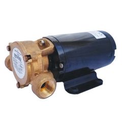 Groco Heavy Duty Positive Displacement Vane Pump 12v-small image